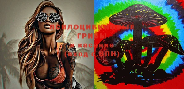 ПСИЛОЦИБИНОВЫЕ ГРИБЫ Абинск