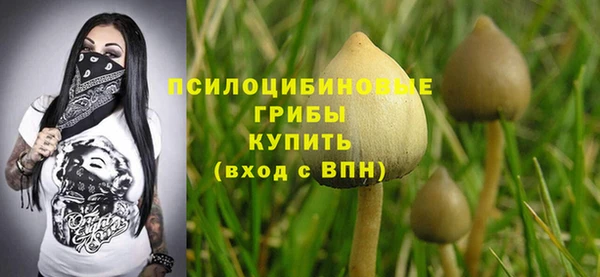кокс Абдулино