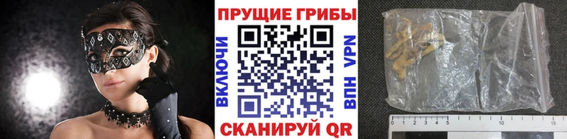 Псилоцибиновые грибы Psilocybe  Аксай 