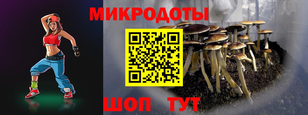 Галлюциногенные грибы Cubensis Аксай