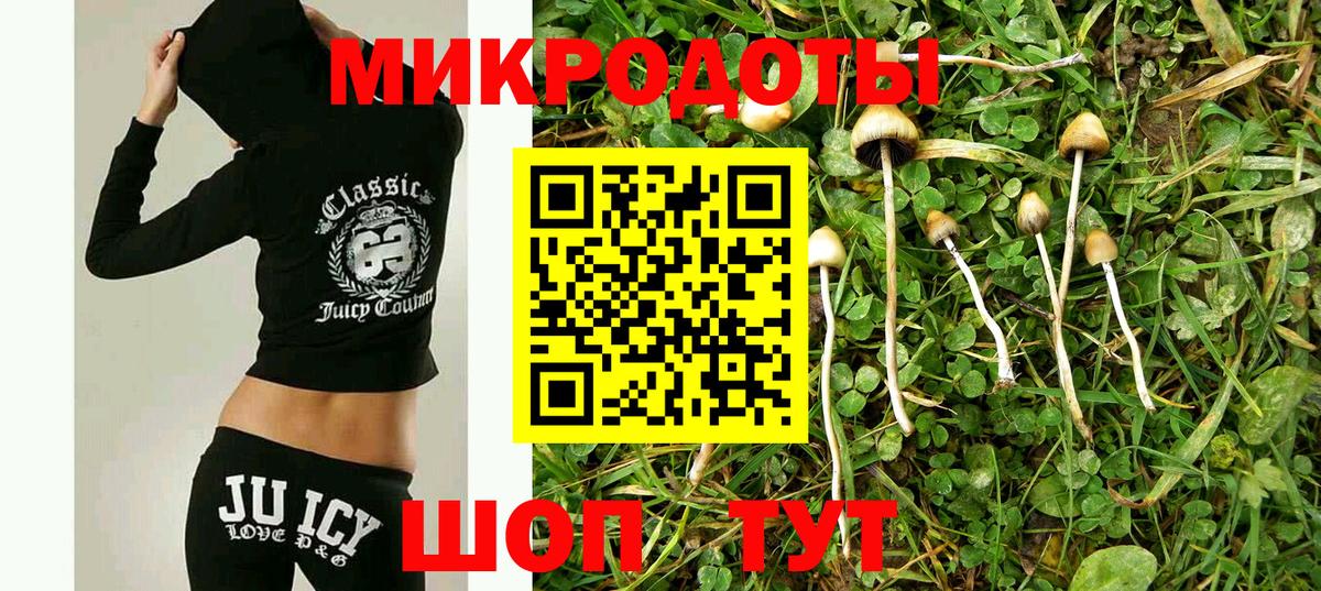 Аксай  Псилоцибиновые грибы Magic Shrooms  где купить   Вход с VPN  Галлюциногенные грибы MAGIC MUSHROOMS 